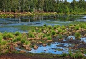 Que visiter et que faire dans ce coin nature des Landes